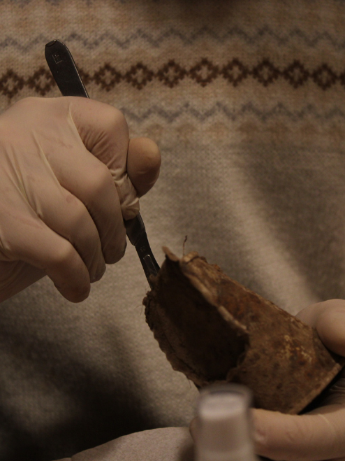 Investigación del pasado reciente